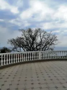 Сдаются посуточно номера в гостевом доме в г. Ялта, пгт. Ореанда