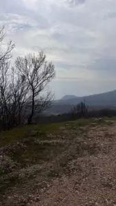 Земельный участок 8 соток в г. Алушта, п. Верхняя Кутузовка