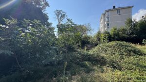 Земельный участок 8 соток в посёлке Дубки (Массандра), г. Ялта
